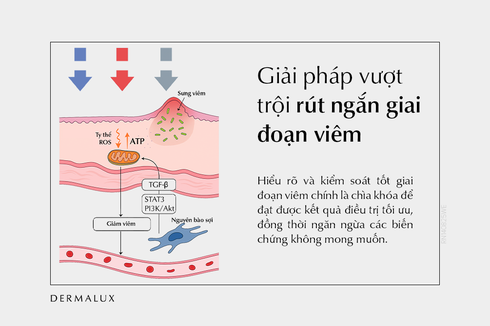 rut-ngan-giai-doan-viem-voi-dermalux