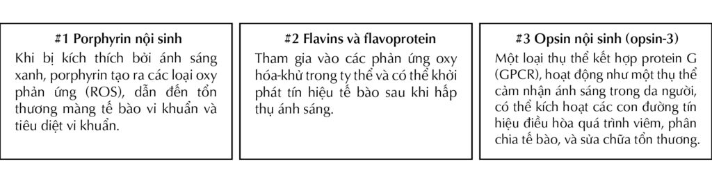 cac-loai-porphyrin-hap-thu-anh-sang-xanh