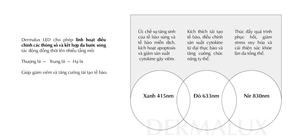 dermalux-trong-dieu-tri-vay-nen
